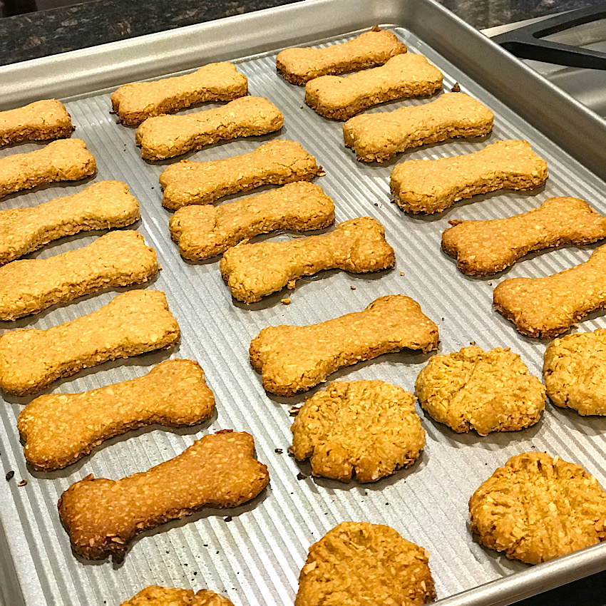 peanut-butter-oatmeal-dog-treats-at-lara-s-table