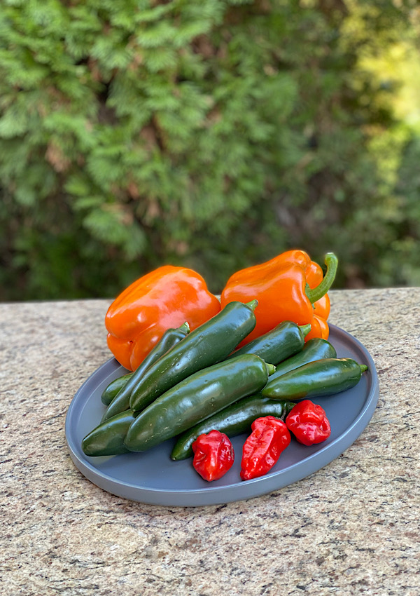 A mixture of peppers for making Hot Pepper Jelly